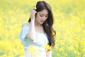 上海爱情中的势力平衡